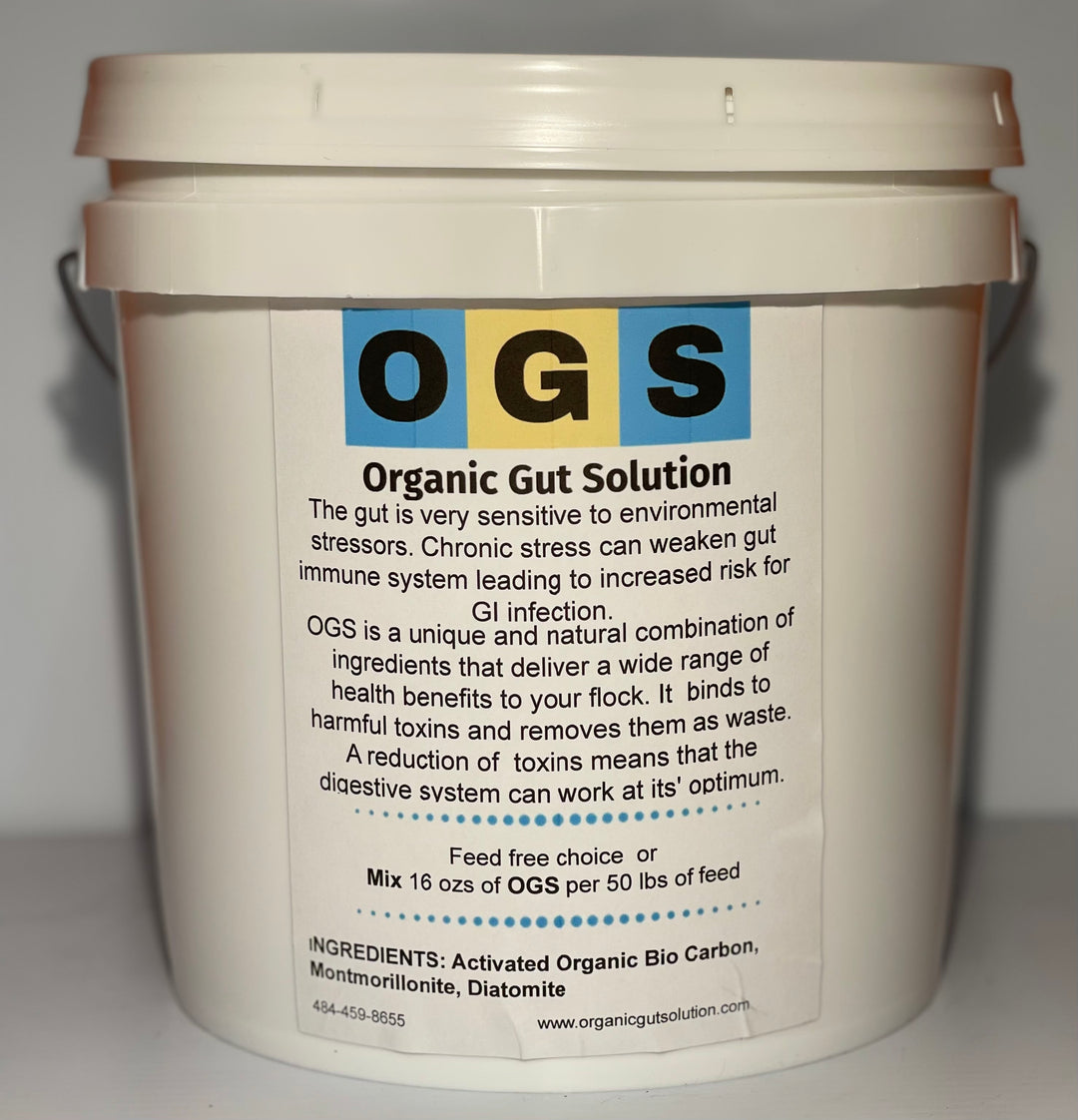 OGS (Organic Gut Solution)