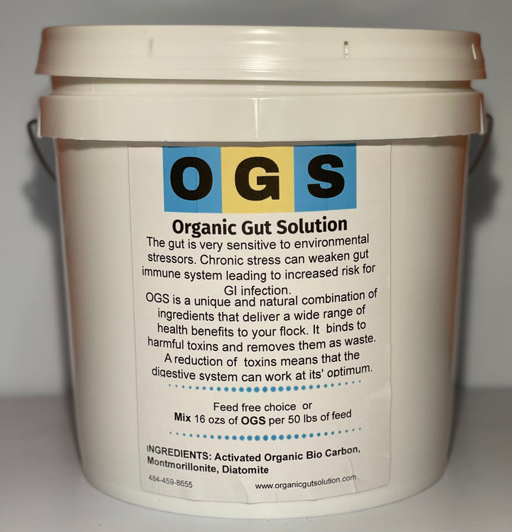 OGS (Organic Gut Solution)