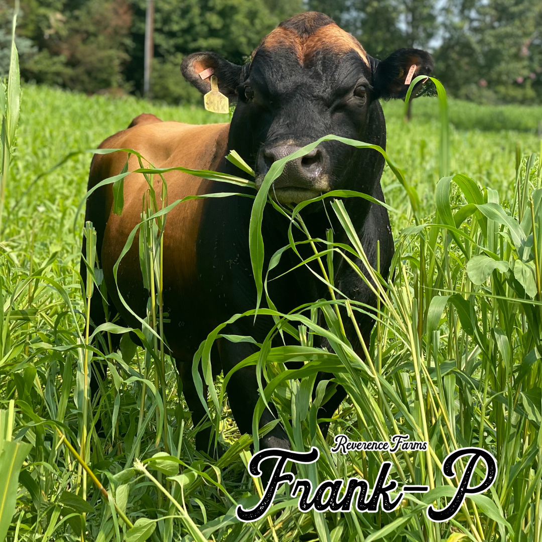 Frank-P