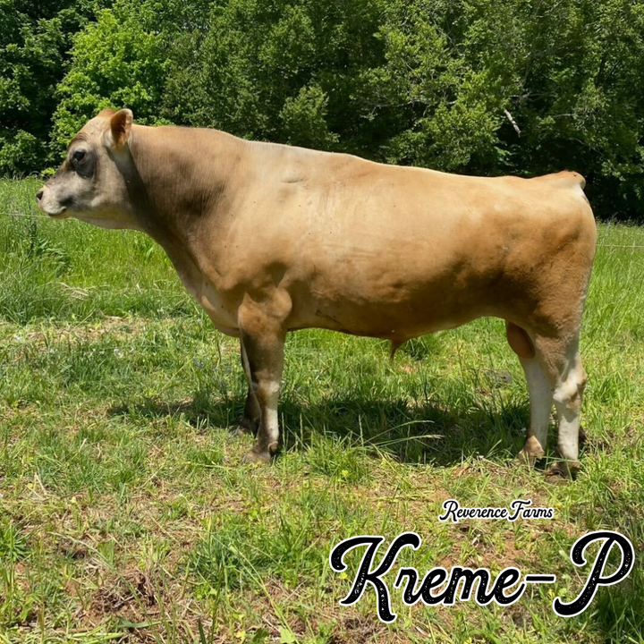 Kreme-P
