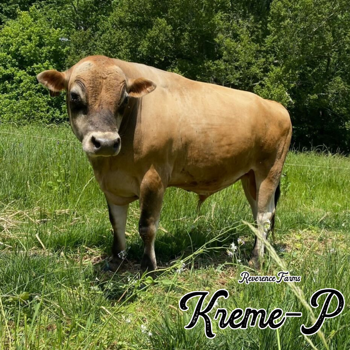 Kreme-P