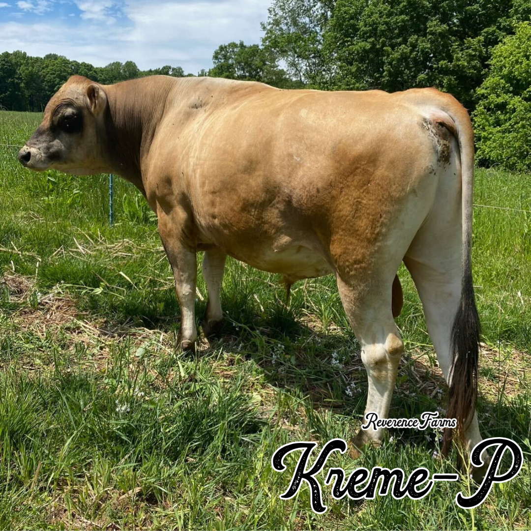 Kreme-P