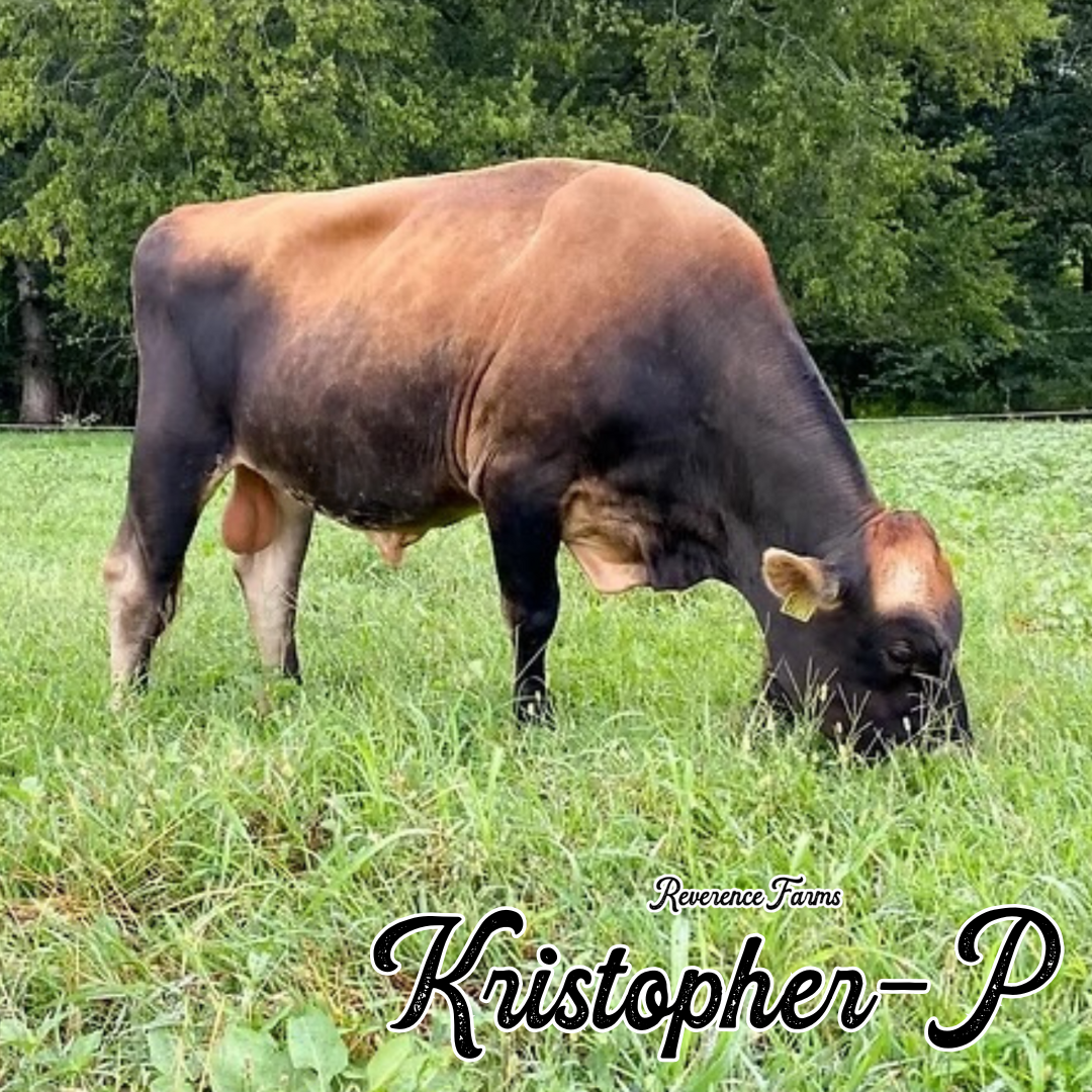 Kristofer-P