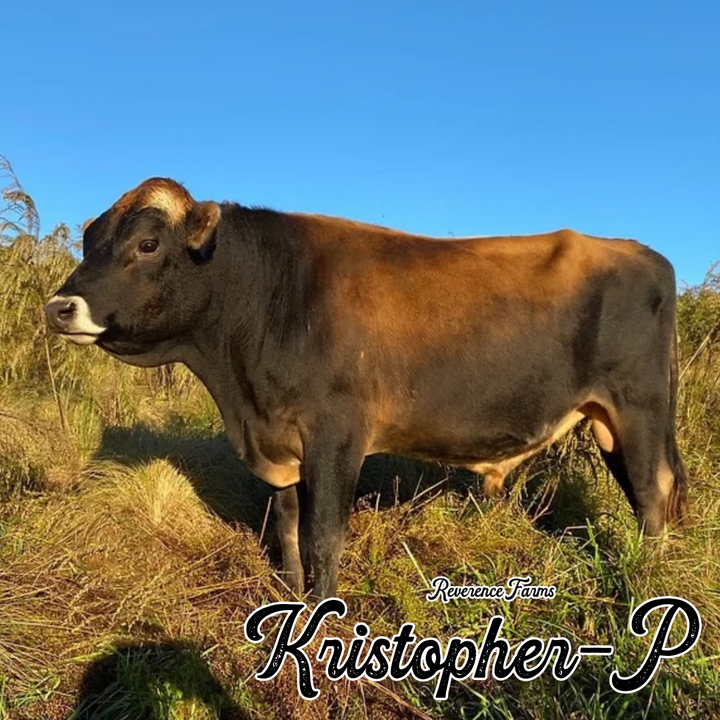 Kristofer-P