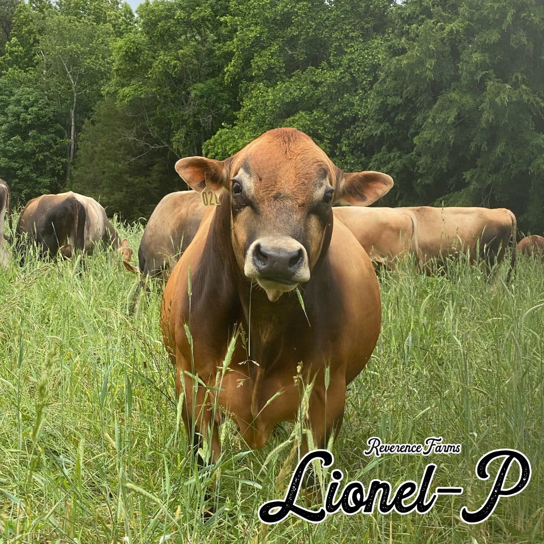 Lionel-P
