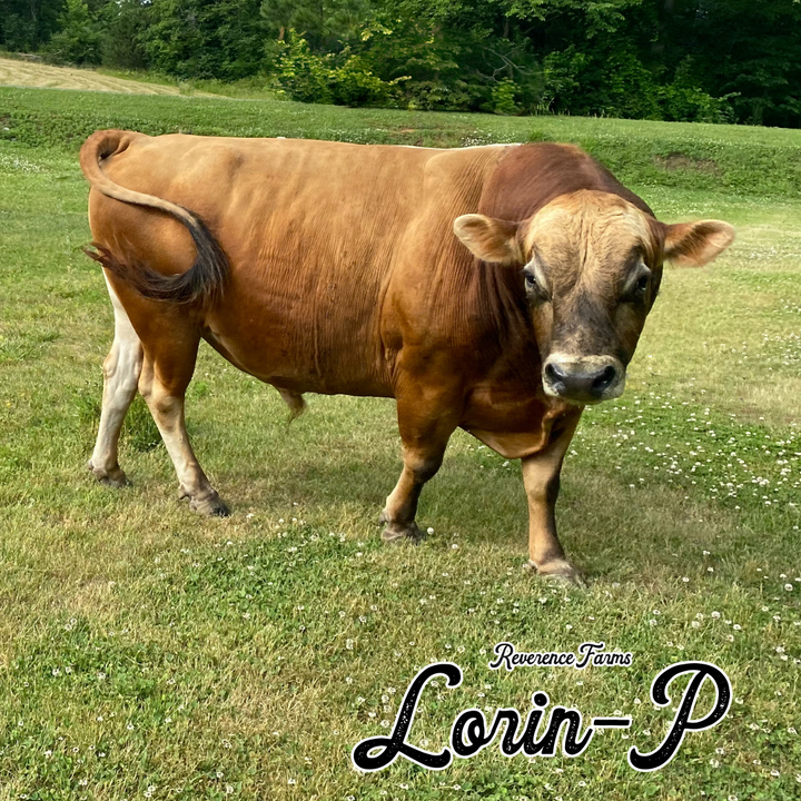 Lorin-P