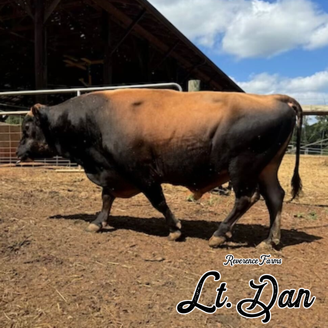 Lt. Dan