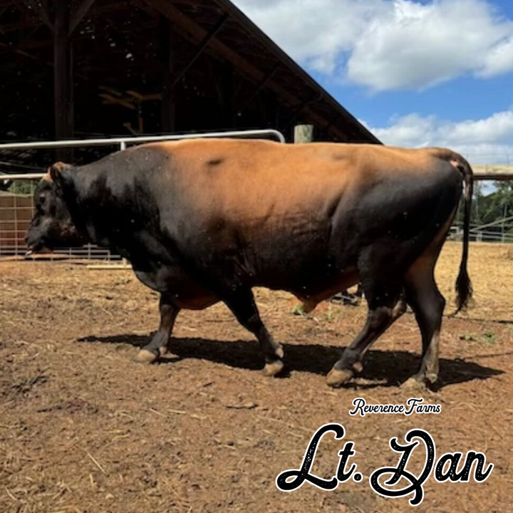 Lt. Dan