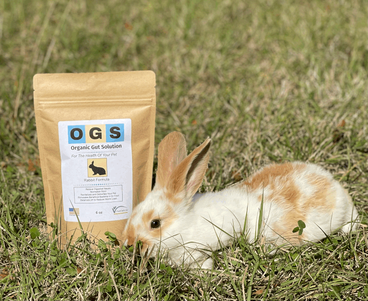 OGS (Organic Gut Solution)