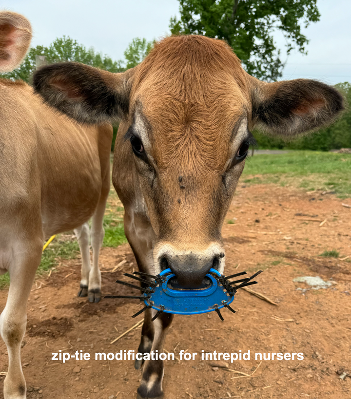 The Best Nose Ring for Weaning