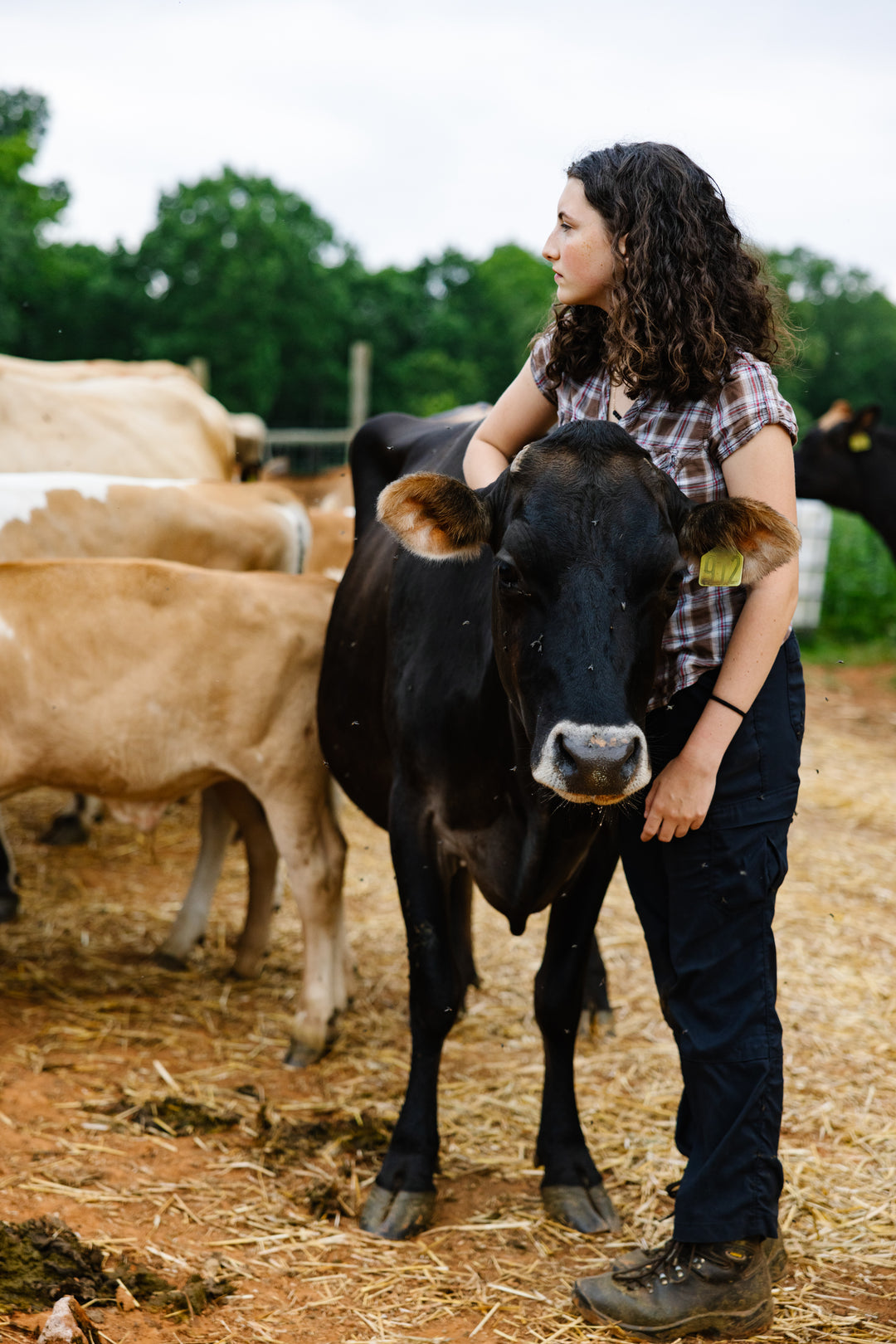 Compassionate husbandry selling veal?