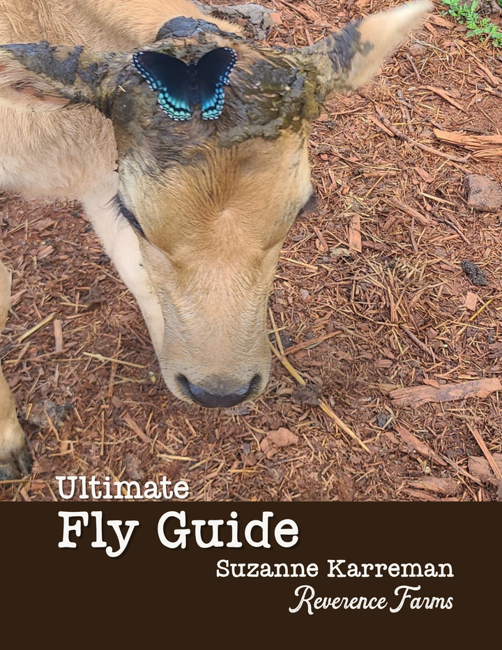 The Ultimate Fly Guide