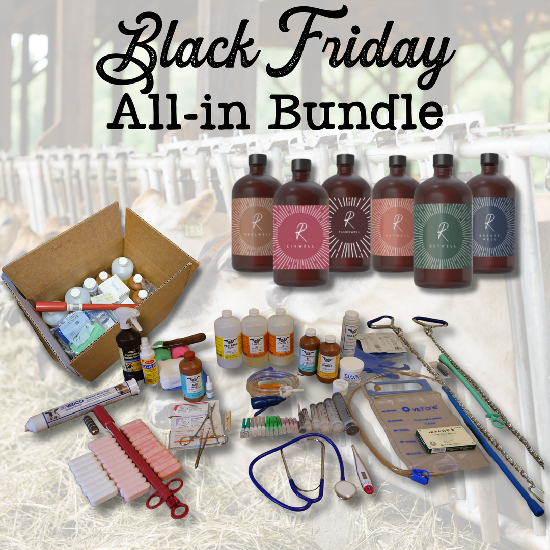 All-in Black Friday Bundle