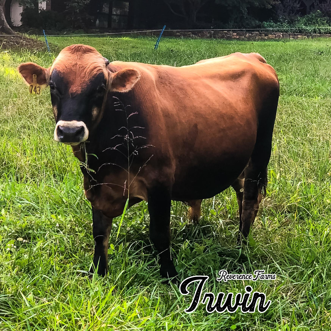 Irwin