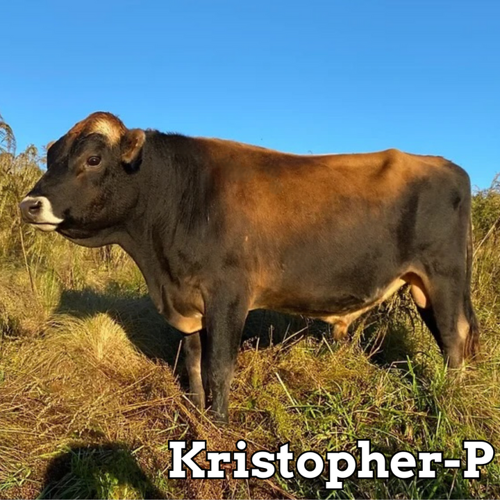 Kristofer-P - Stockholders