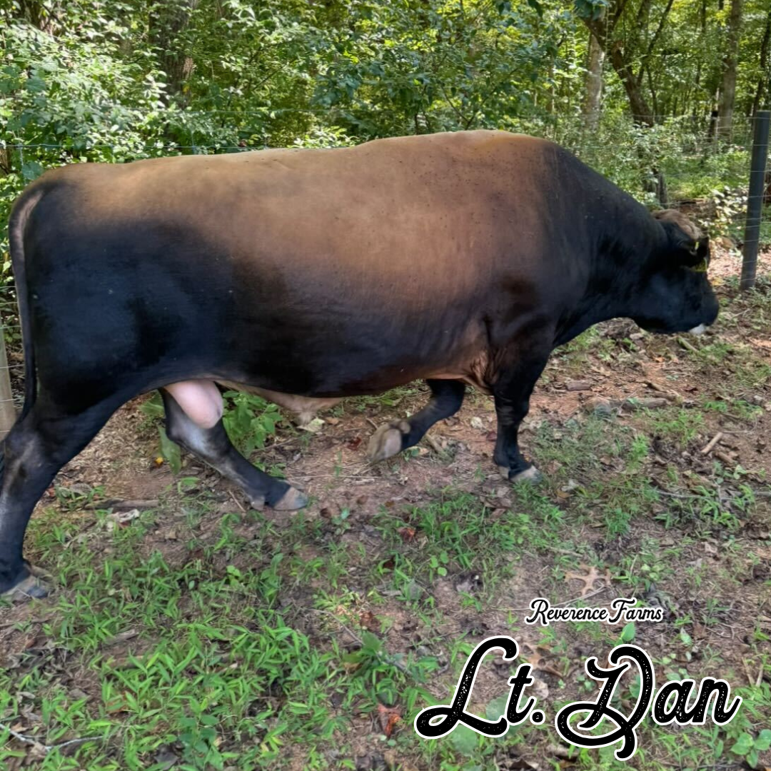 Lt. Dan