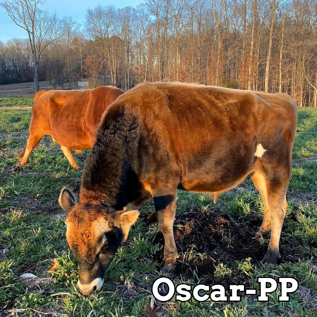 Oscar-PP - Stockholders