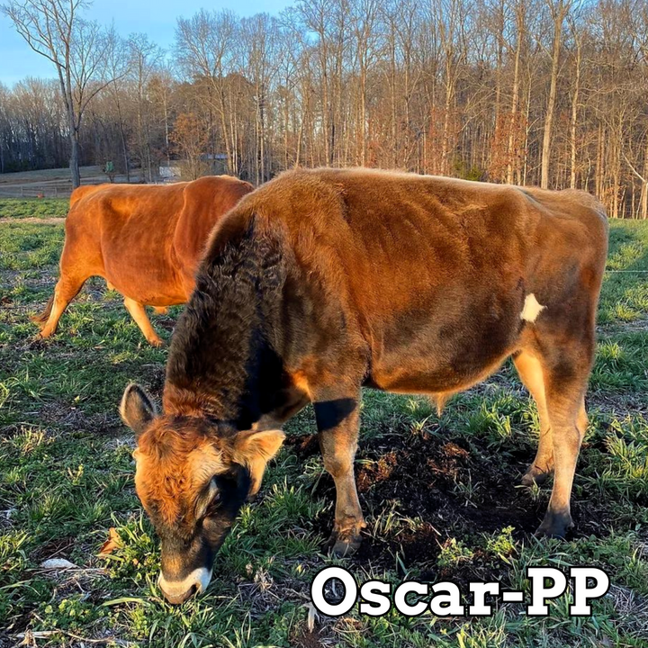 Oscar-PP - Stockholders