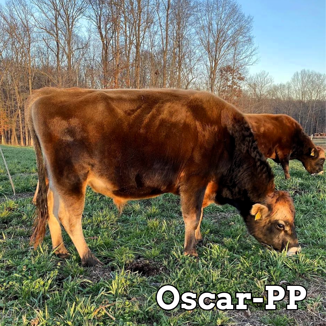 Oscar-PP - Stockholders