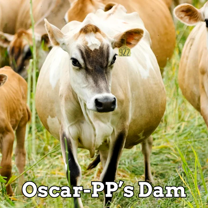 Oscar-PP
