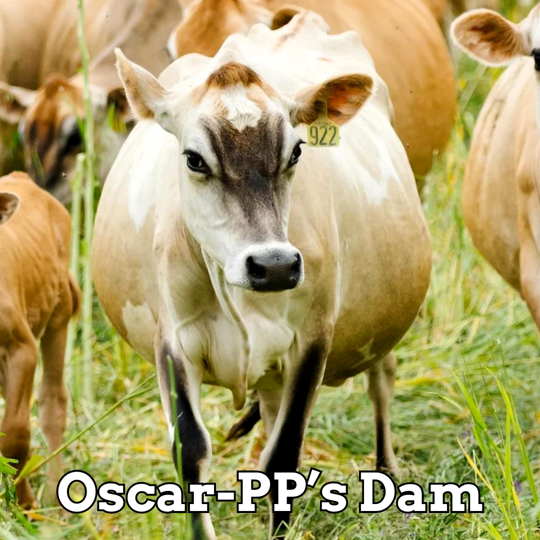 Oscar-PP - Stockholders