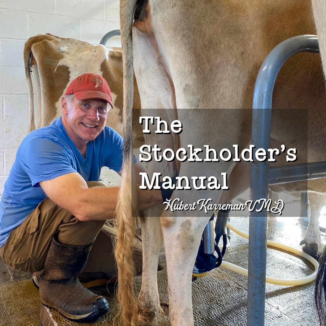 The Stockholder's Manual