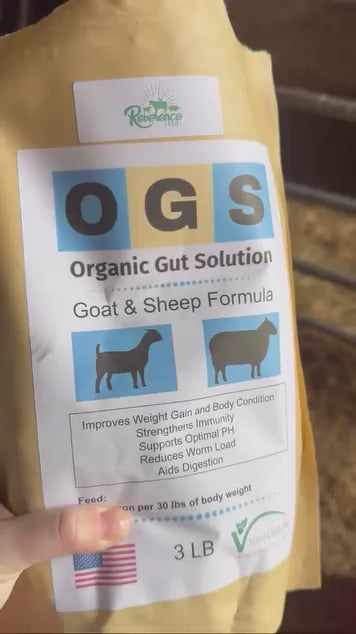 OGS (Organic Gut Solution)